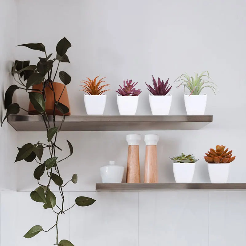 שש יחידות מיני צמח סוקולנט מלאכותי מפלסטיק אגן לבן, מושלם לעיצוב הבית לקישוט מדף הספרים לשולחן העבודה וכל אפשרות אחרת